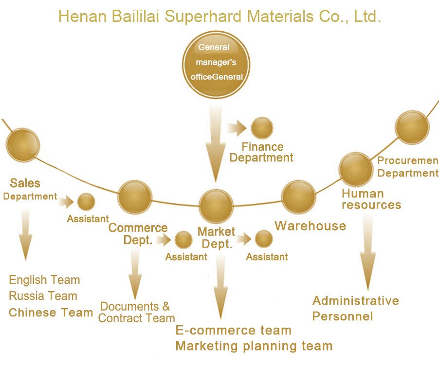 Organizational Structure